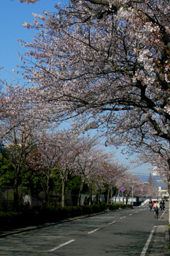 e0083517_0334969.jpg
