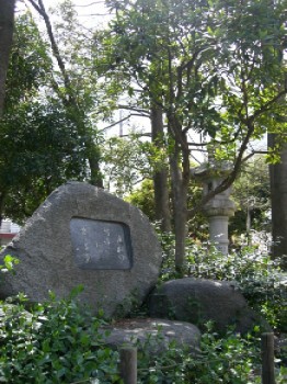 d0072318_19130100.jpg