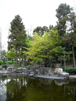 d0072318_1934576.jpg