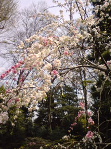 c0012120_23451728.jpg