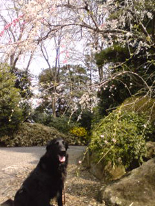 c0012120_23475043.jpg