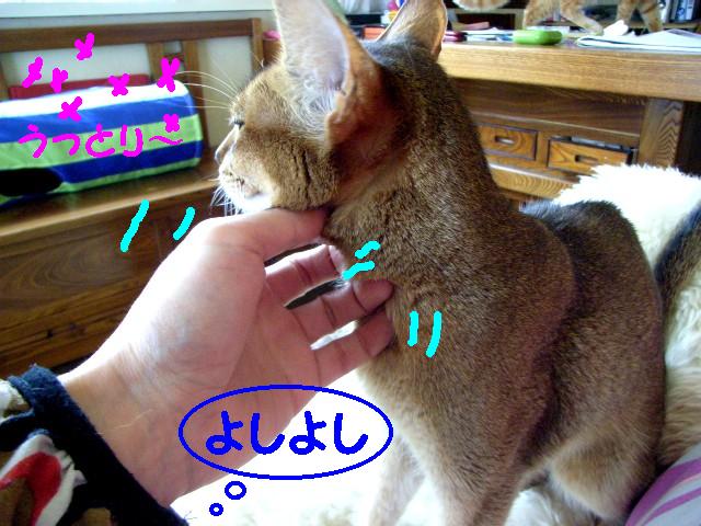 d0081025_20354326.jpg