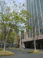 f0035127_17152647.jpg