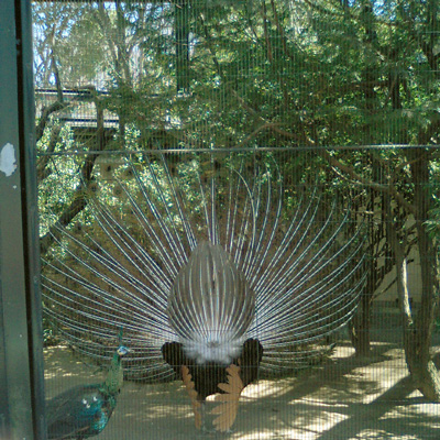e0032528_22454613.jpg