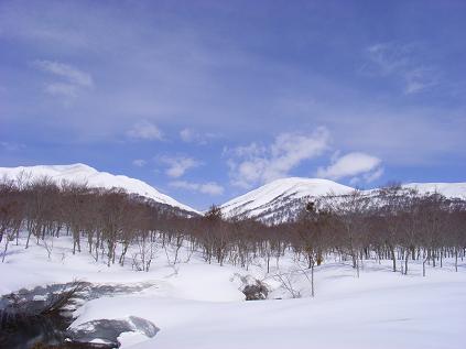 f0118332_22341138.jpg