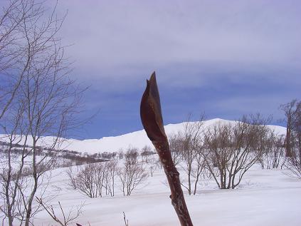 f0118332_22435458.jpg