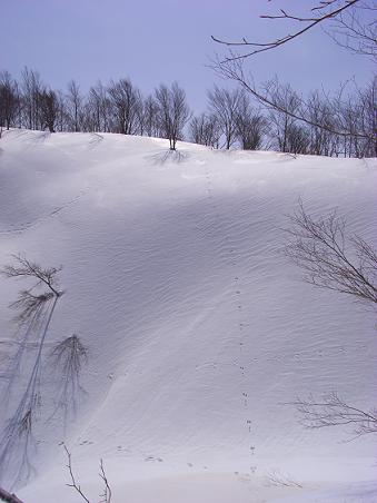 f0118332_22512233.jpg