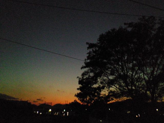 b0011334_23331377.jpg