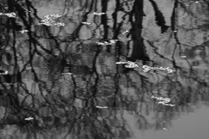 a0097735_2343486.jpg