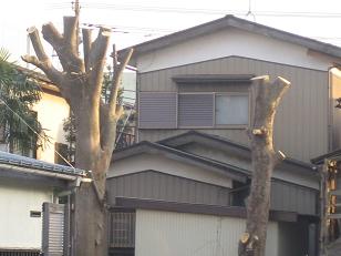 e0110038_20105196.jpg