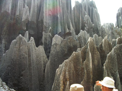 c0068639_17113435.jpg