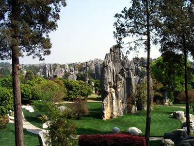c0068639_1771452.jpg