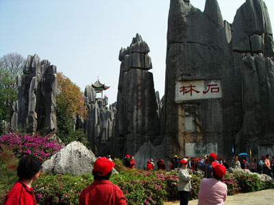 c0068639_178170.jpg