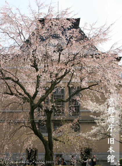 c0046340_1964896.jpg