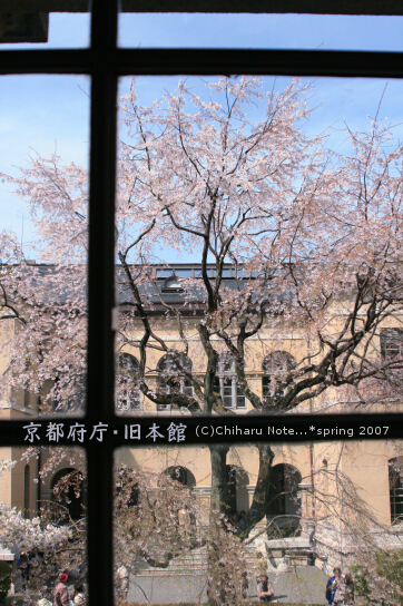 c0046340_197657.jpg
