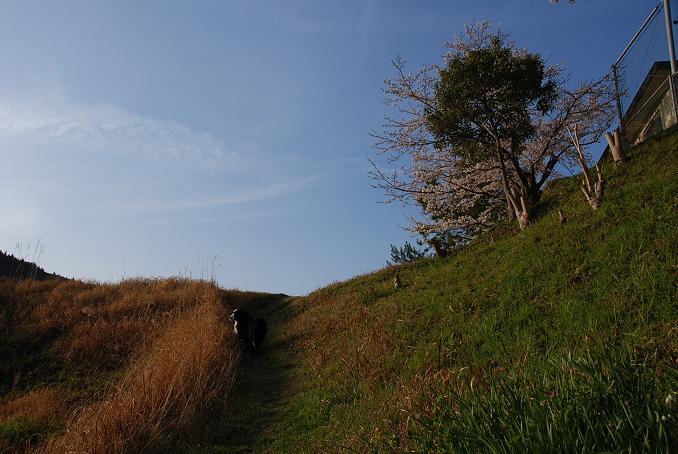 b0075541_165766.jpg