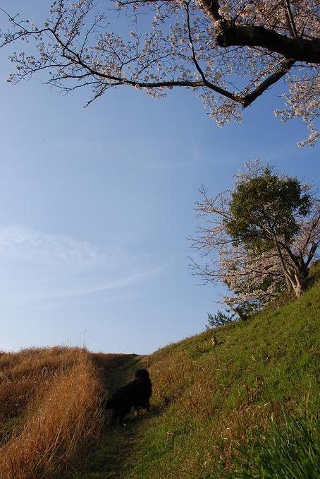b0075541_16625.jpg
