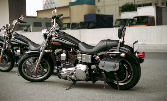 c0007741_1431174.jpg