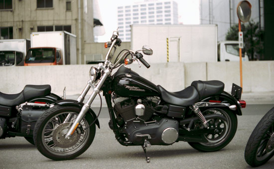 c0007741_1431979.jpg