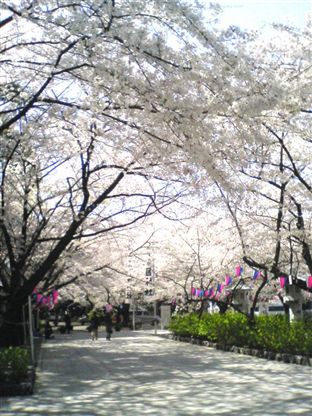 d0103243_0453357.jpg