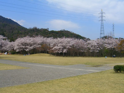 c0115145_16401352.jpg