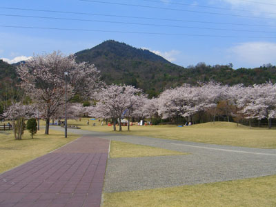 c0115145_16403281.jpg
