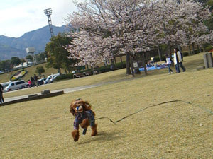 c0115145_1751917.jpg