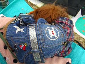 c0115145_1764843.jpg