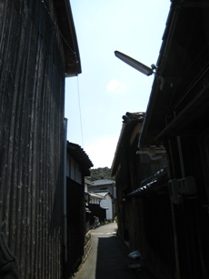 b0003650_10312256.jpg