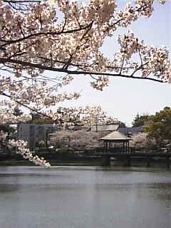 c0069552_121085.jpg