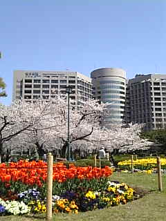 c0069552_1210870.jpg