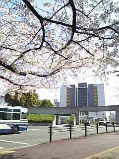 c0069552_13272567.jpg