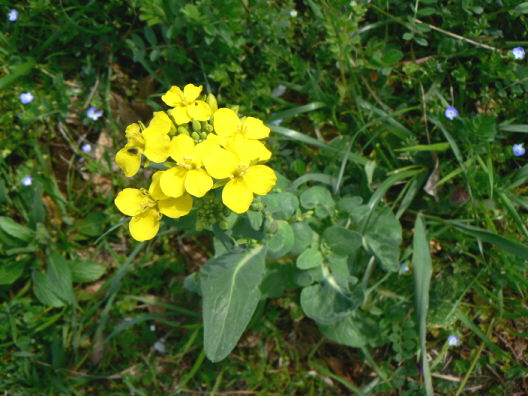 d0091754_2373213.jpg