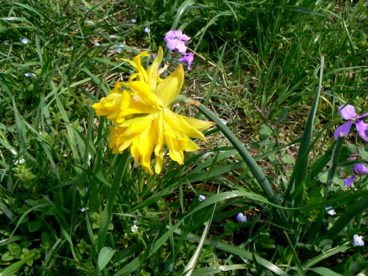 d0091754_246361.jpg