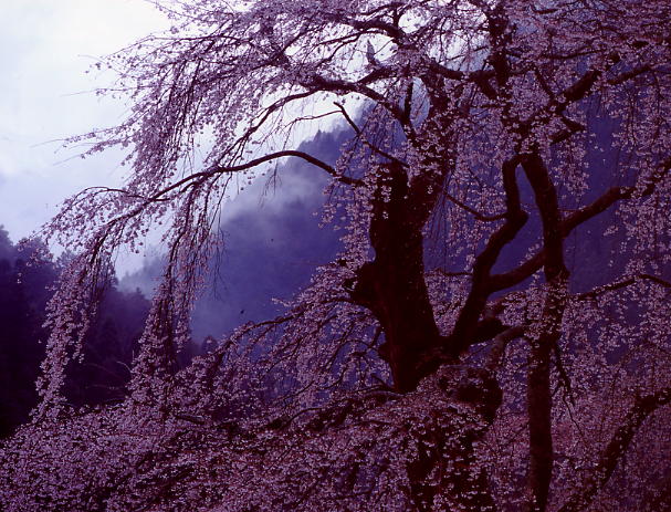 b0083855_14518.jpg