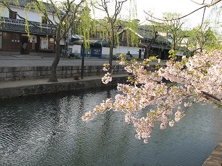 d0055259_0354511.jpg