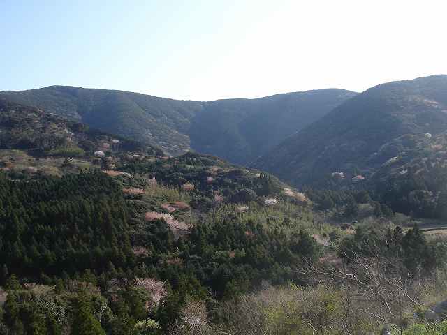 b0104861_2133558.jpg