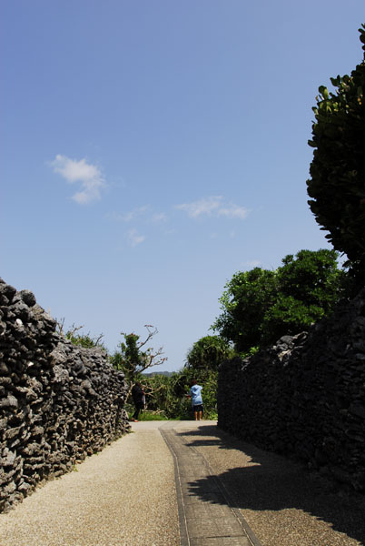 b0062363_20165134.jpg