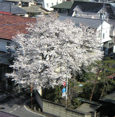 b0101263_17112860.jpg
