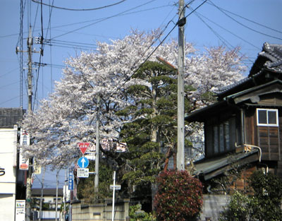 b0101263_17115585.jpg