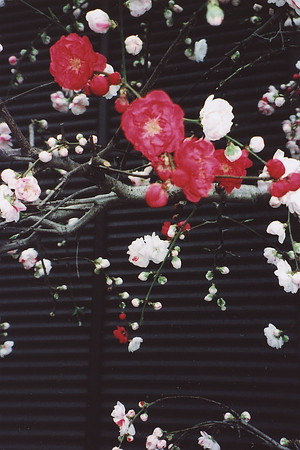 c0083364_1033930.jpg