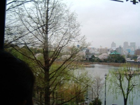 b0009665_0173445.jpg