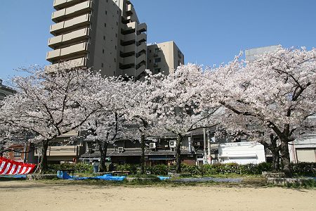 d0048067_23245820.jpg