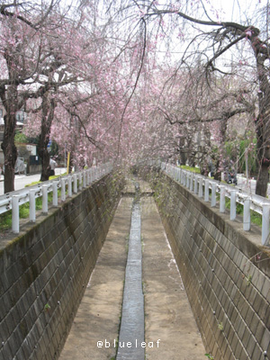 c0027369_15491760.jpg
