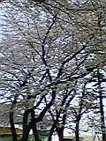 d0109373_23431964.jpg