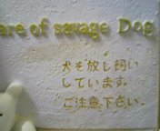 f0126278_0391430.jpg