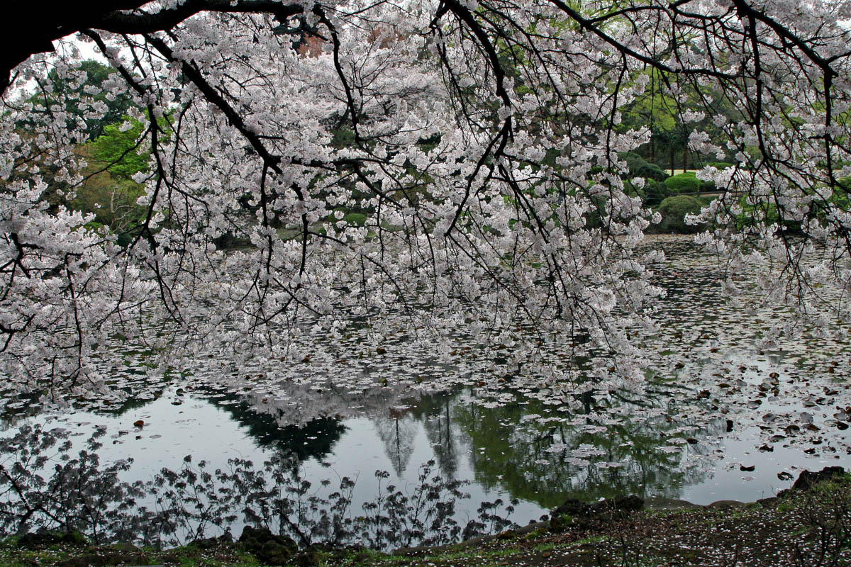 a0083081_17543594.jpg