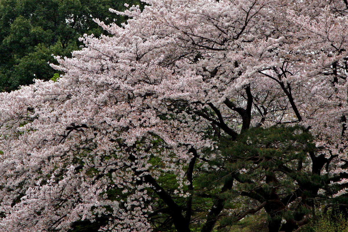 a0083081_17552330.jpg