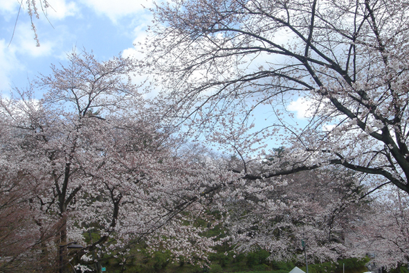 e0115881_031368.jpg