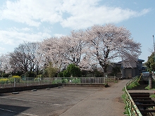 c0105785_10213841.jpg